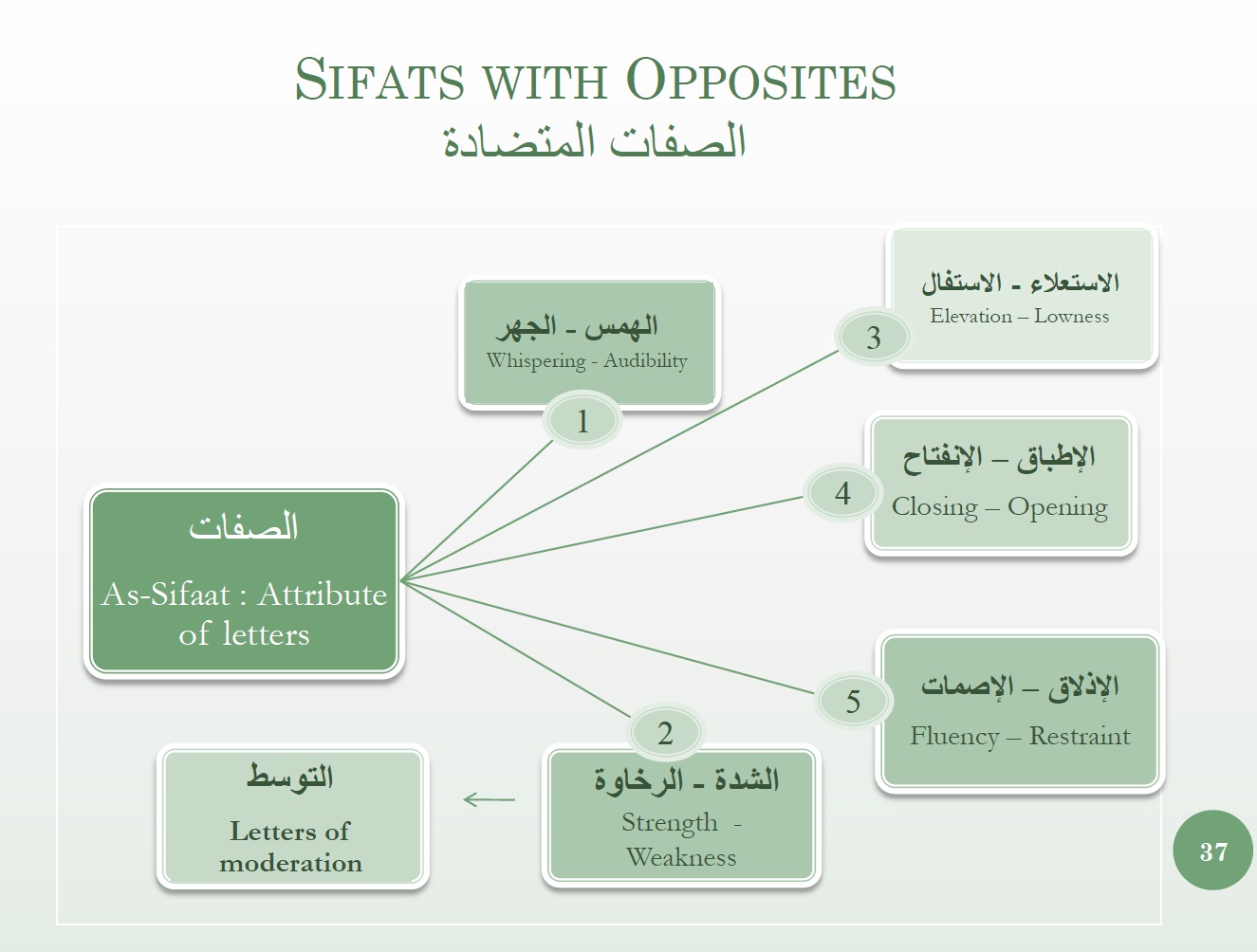 sifat-with-opposites-overview